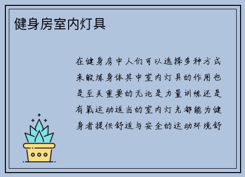 健身房室内灯具